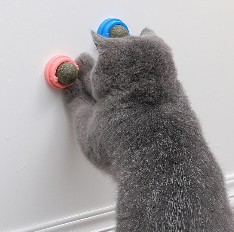 Cat Toy Mint Self-healing Ball